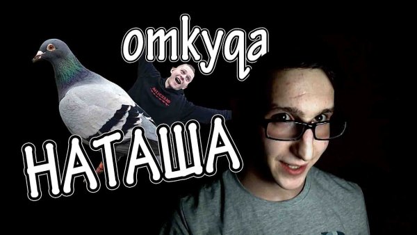 Мемы про Наташу голубя