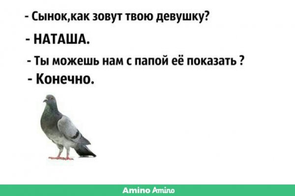 Голубь Мем