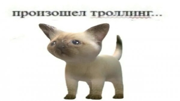 Произошел ТРОЛЛИНГ