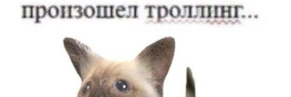 Произошел ТРОЛЛИНГ