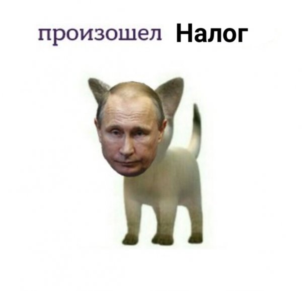 Произошел ТРОЛЛИНГ