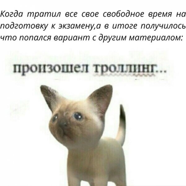 Произошел ТРОЛЛИНГ