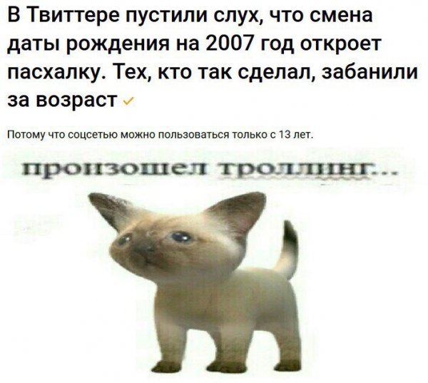 Произошел ТРОЛЛИНГ кот