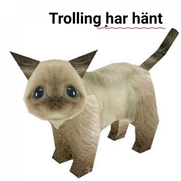 Произошел ТРОЛЛИНГ кот