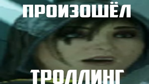 Произошел ТРОЛЛИНГ кот