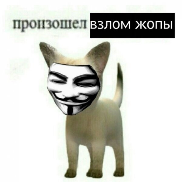 Произошёл ТРОЛЛИНГ Мем