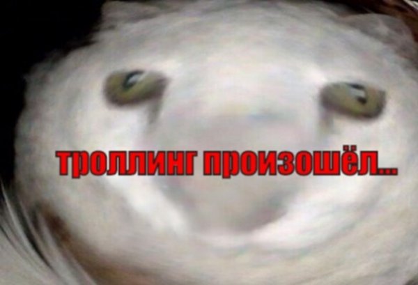 Произошел ТРОЛЛИНГ