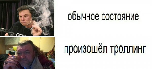 Произошёл ТРОЛЛИНГ Мем кот