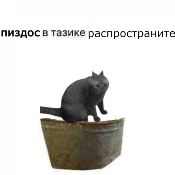 Тазик Мем