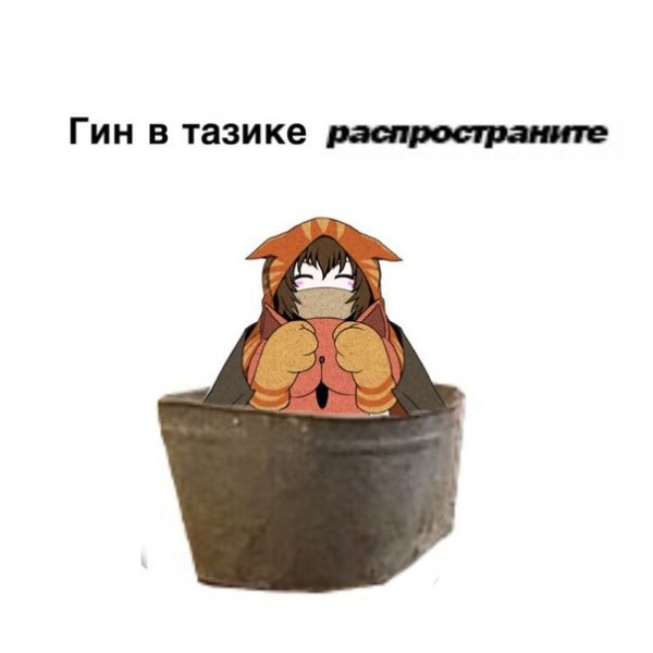 В тазике распространите Мем