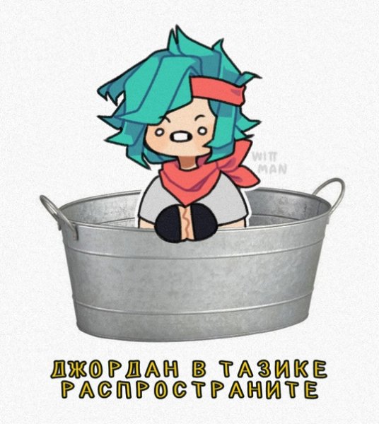 Смешной кот в тазике