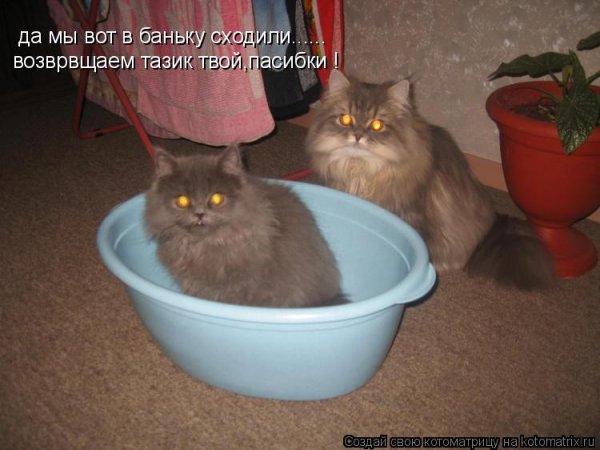 Ноги карикатура