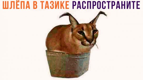 Раствор, вытягивающий из ног всю боль тазик