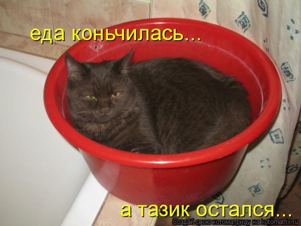 Мем несите тазик