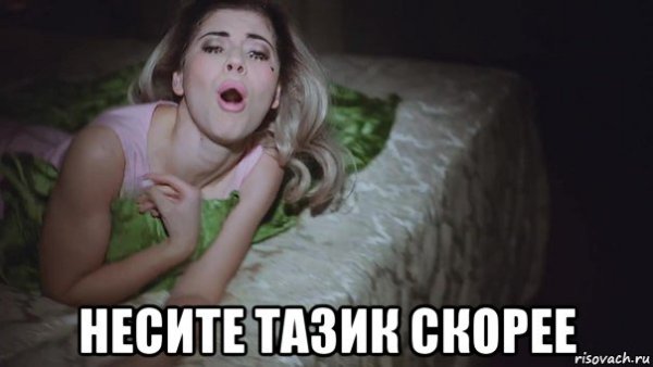 Кот плывет на тазике
