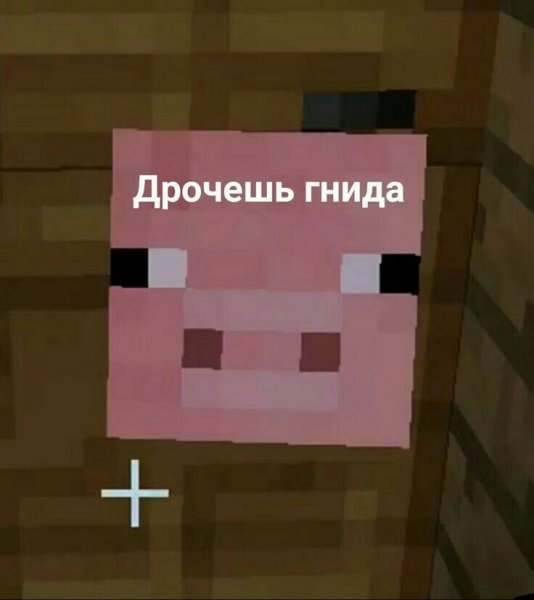 Свинья из МАЙНКРАФТА Мем