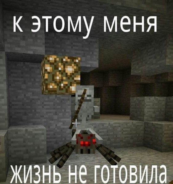 Этот дом запривачен Мем майнкрафт