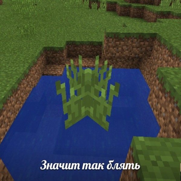 Хатьфу на тебе