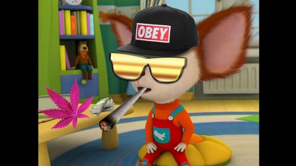 Барбоскины рутп