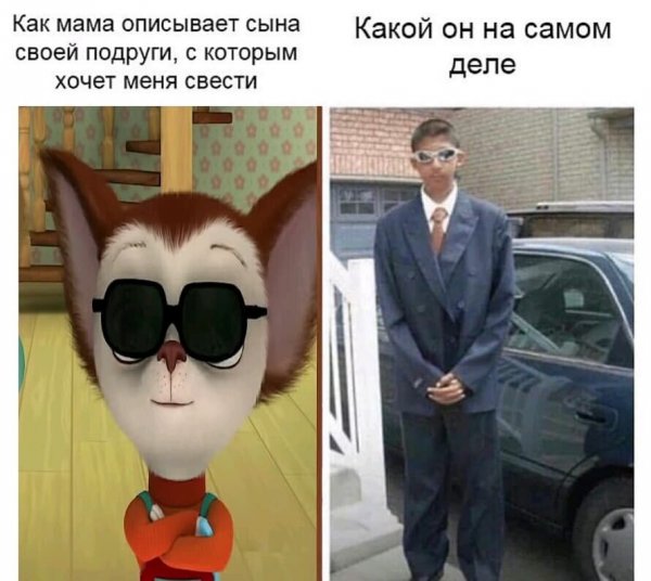 Барбоскины мемы