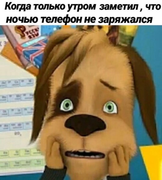 Барбоскины мемы