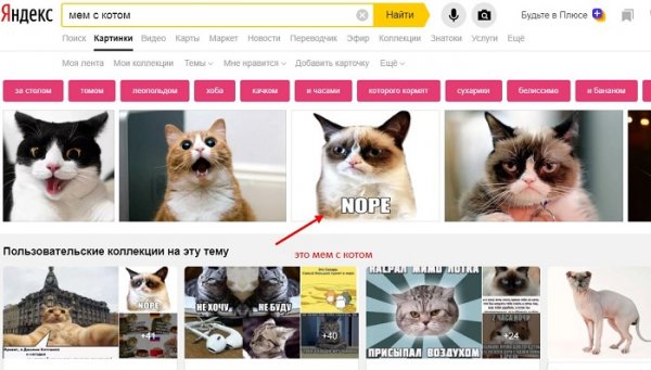 Что такое мемы в социальных сетях примеры