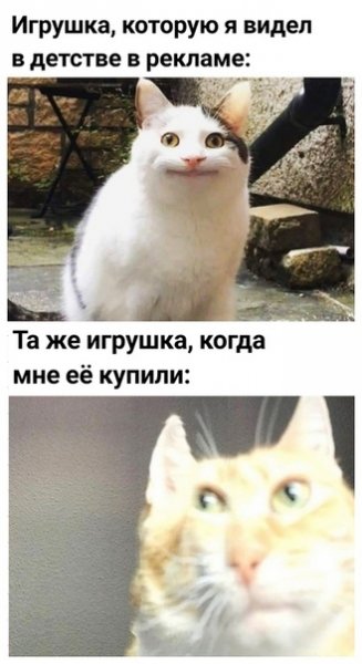 А че в смысле Мем кот