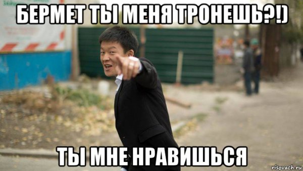 Бермет Мем