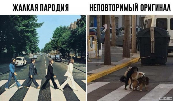 Смешные мемы шаблоны