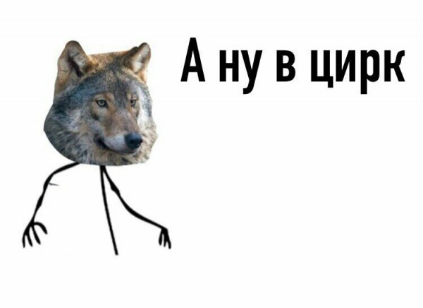 Мемы про волка и цирк
