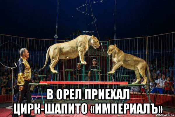 Волк Мем