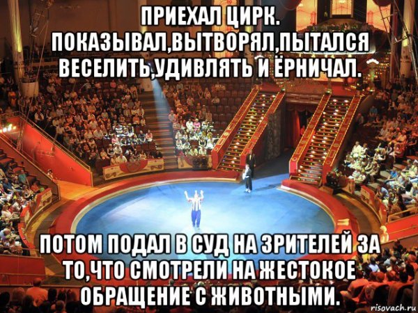 Мемы про цирк