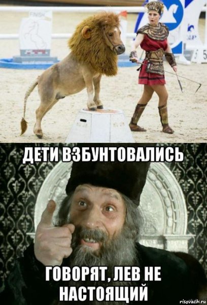 Цирк смешные картинки