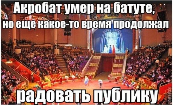 Мемы про цирк