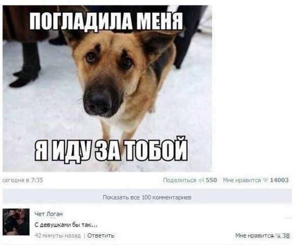 Комментарии Мем