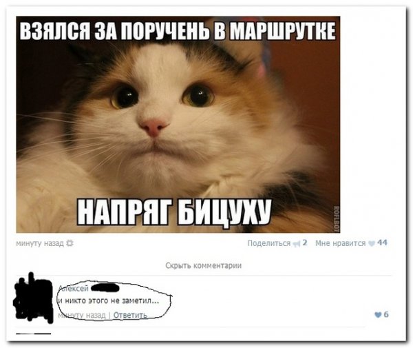 Шланг прикол