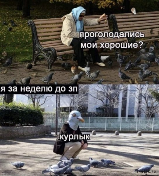 Смешные комменты и мемы