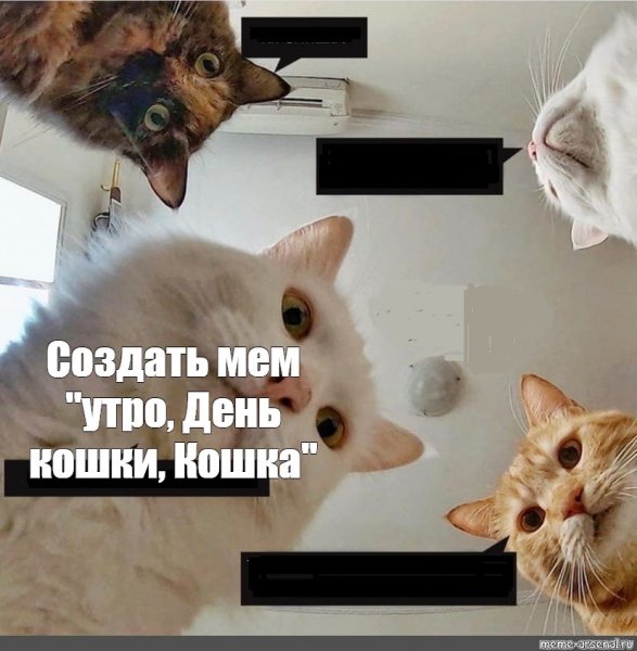 Крот мемы