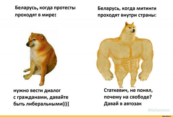 Сильный и слабый пес