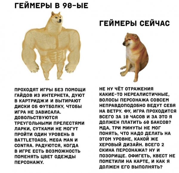 Доге и Чимс мемы