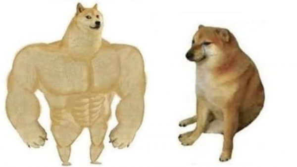 Собака Мем