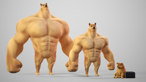 Doge качок