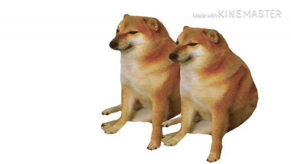 Доги Мем