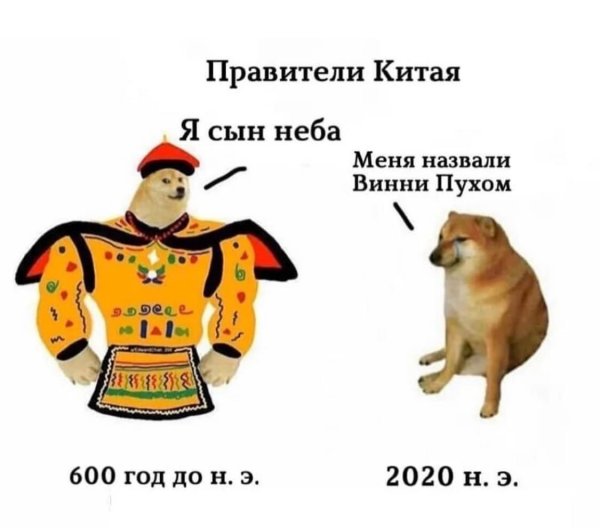 Доге и Чимс мемы