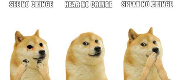 Мемы с доги 2020