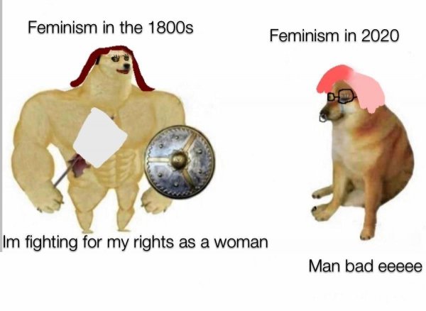 Мемы собака накачанная