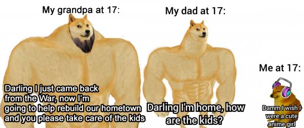 Качок доге