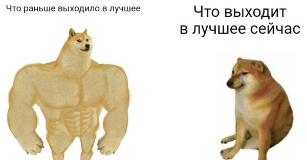 Shiba Мем качок