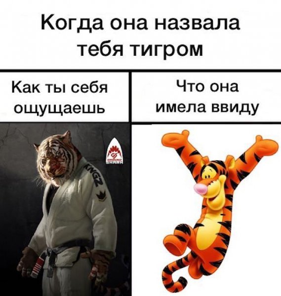 На что похоже мемы
