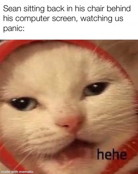Котик хехе